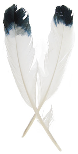 IMIT.EAGLE FEATHERS 12"WHT-BLK