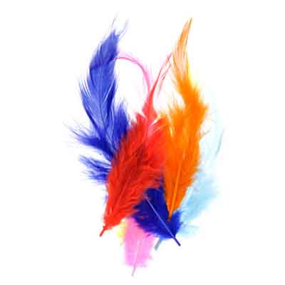 SADDLE HACKLES MULTI MIX(1pkg x 3gram) HEADER
