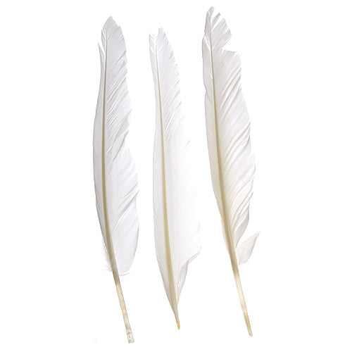 DUCK QUILL 7" WHITE