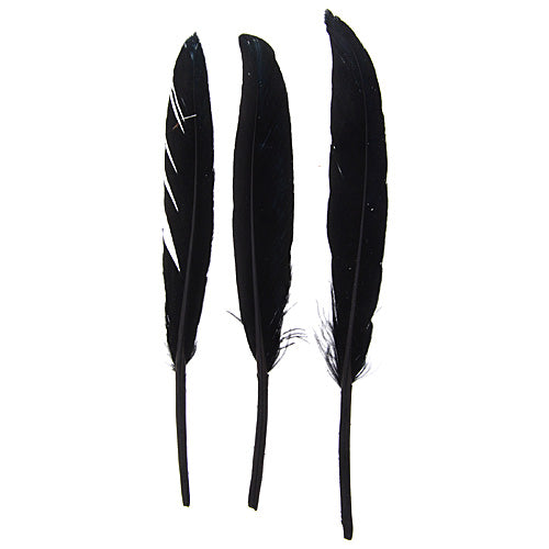 DUCK WING QUILL 3-4" BLACK
