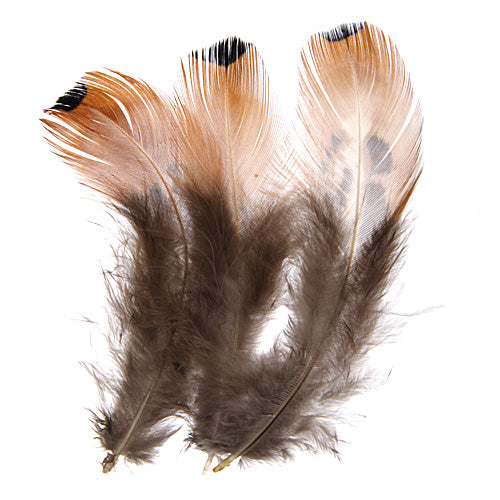 4 Golden Pheasant Feather (2 Pcs) #FEA009 – General Bead