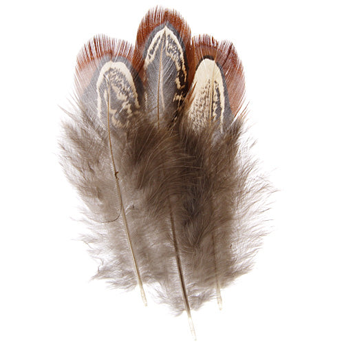 Pheasant Feathers Natural