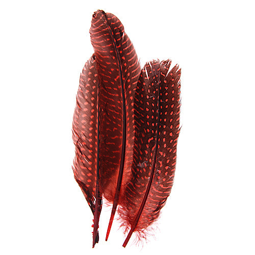 GUINEA FOWL QUILL 6-9" RED